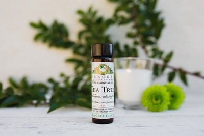Tea Tree Essential Oil Tea Tree Essential Oil
