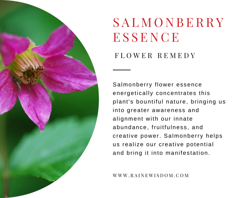 Flower Essence Floracopeia