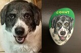 Pet Portraits - Dogs, Cats, Horses, Birds Hand Painted on a Rock (CLICK-more pics)