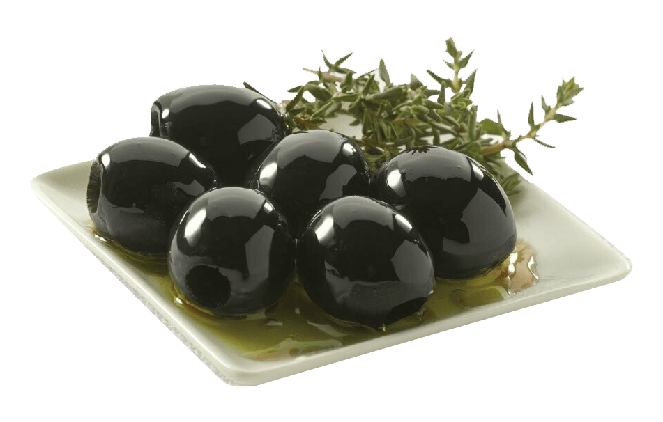 Aceitunas Negras Lata de 5 kg Precio sin IVA 17.90 €