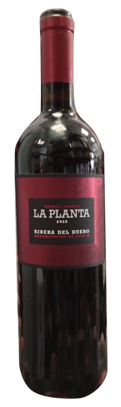 Vino Ribera del Duero La Planta botella 75  cl Precio sin iva  6.65 €