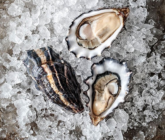 Small Hog Island Sweetwaters