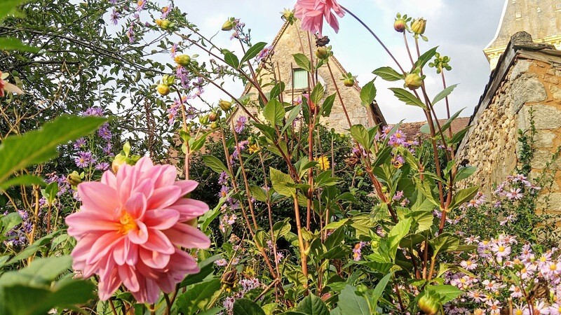 ATELIER : l&#39;abeille autonome - connaissances &amp; ruche refuge