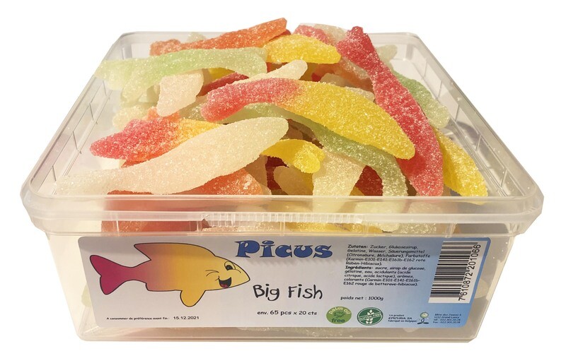 Picus Big Fish