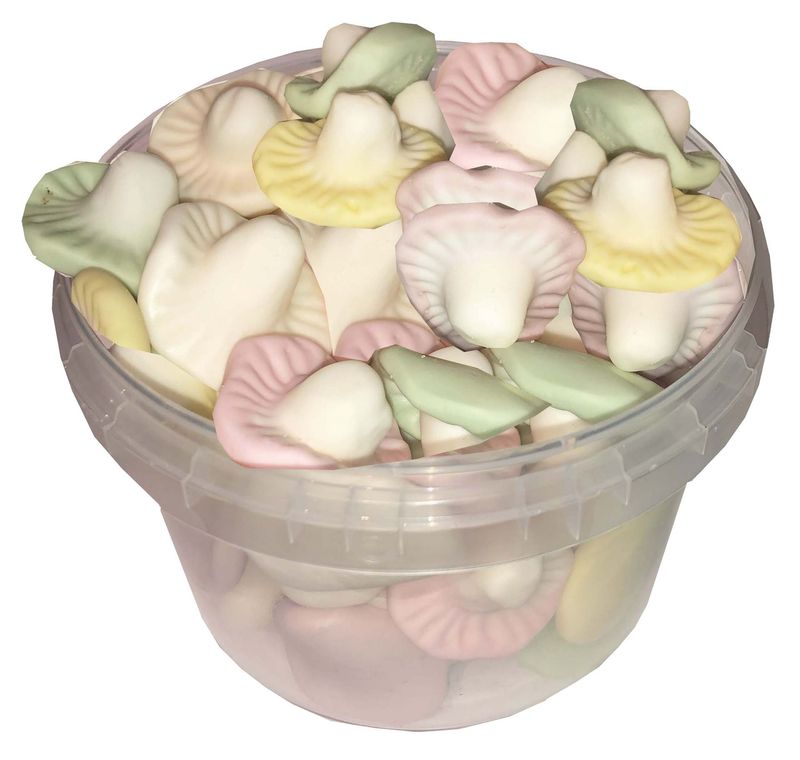 .Picus Mini Box Champignons 280g