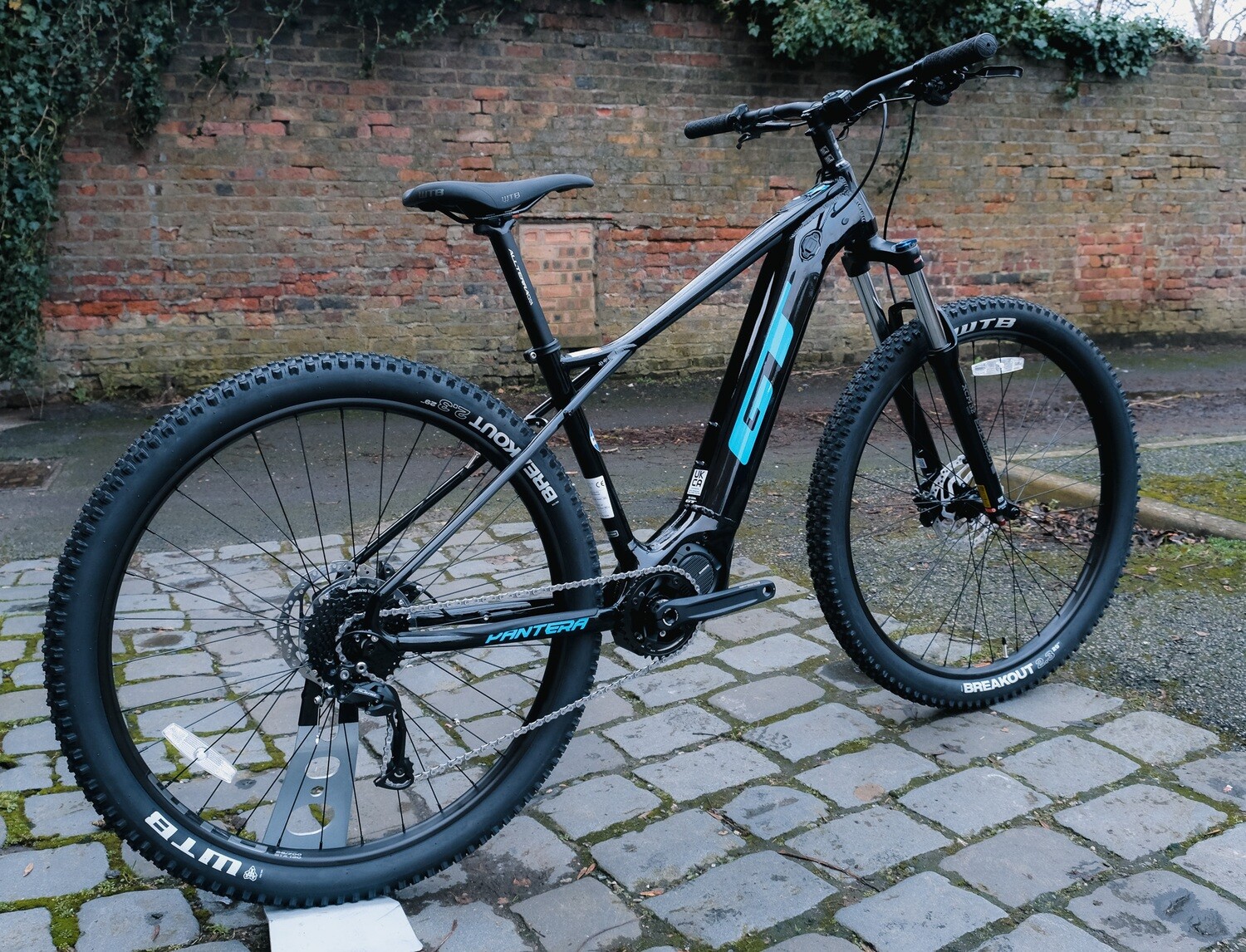 ELECTRIC BIKES