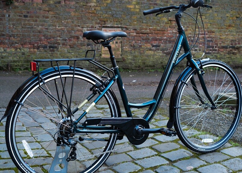 Ridgeback Avenida 6