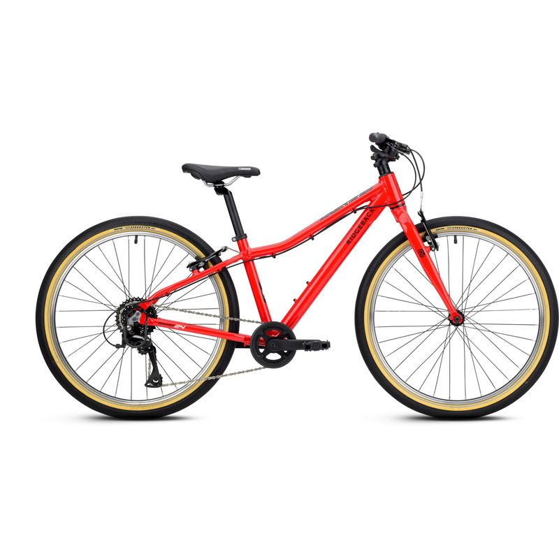 Ridgeback Dimension 24 Kids Bike