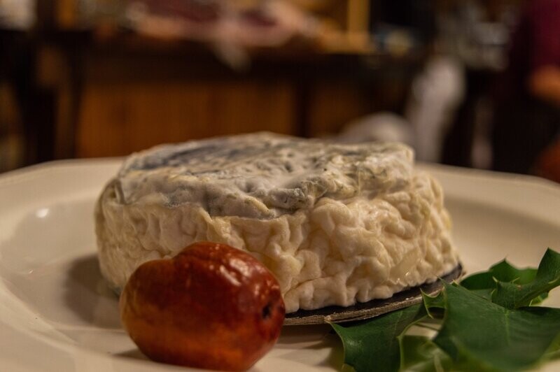 Gosh al tartufo