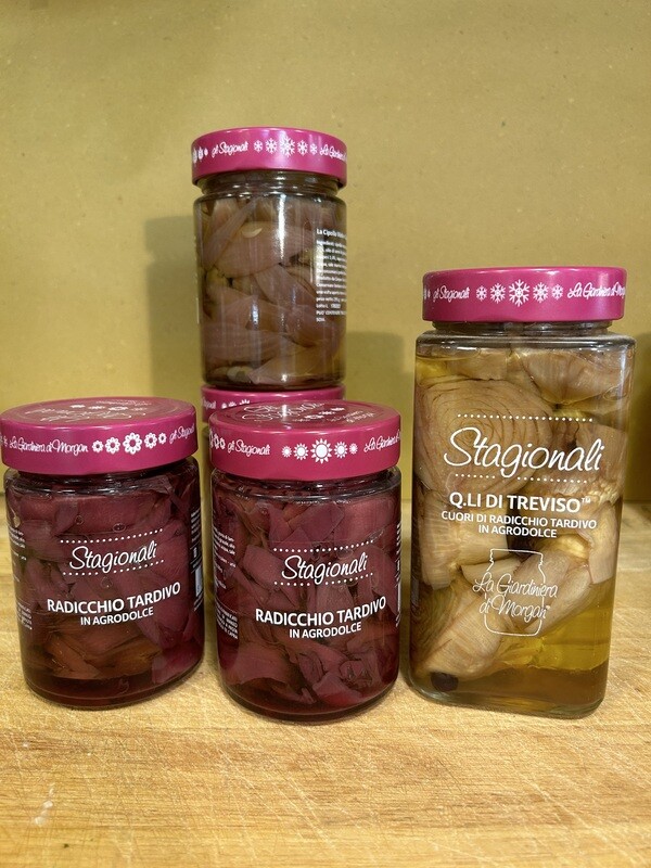 Radicchio tardivo e cuori di radicchio tardivo Morgan
