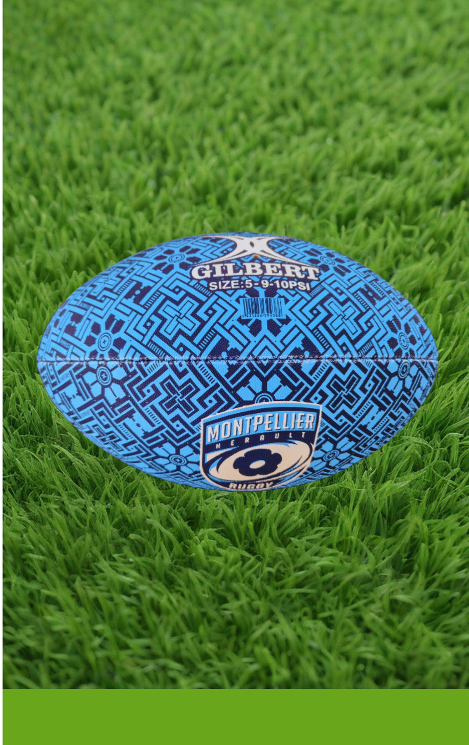 Supporter Montpellier