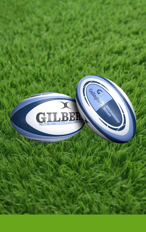 Mini Gallagher Premiership