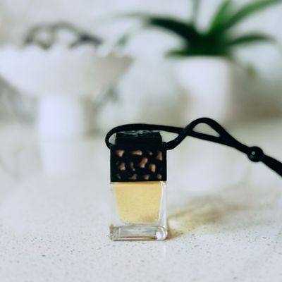 Car diffuser - Spicy Fig