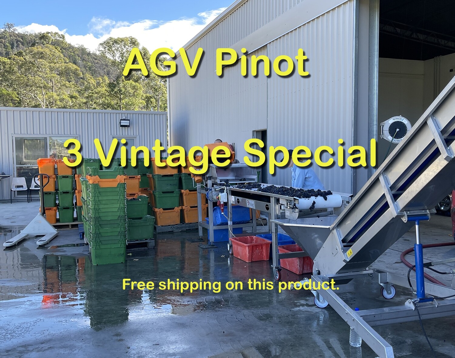 Pinot offer 2021 Pinot offer 2021