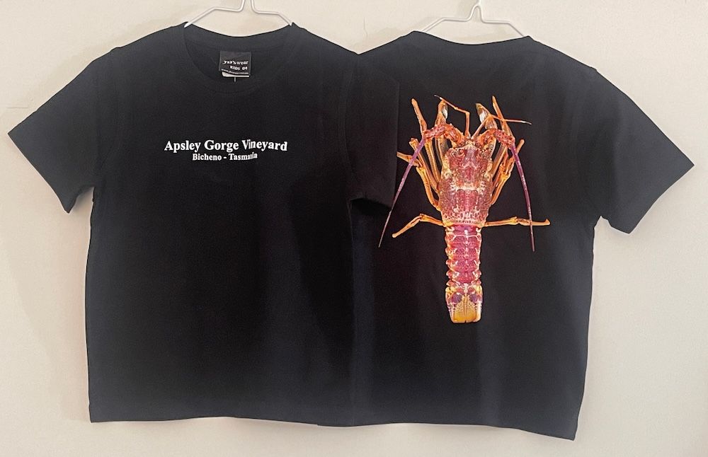 AGV Kids T-Shirt.