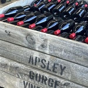 2024 Pinot Magnums