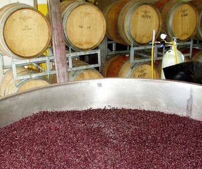 Apsley Gorge Wines