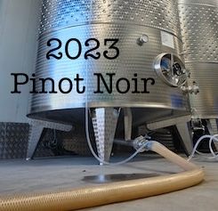 2023 Pinot Noir