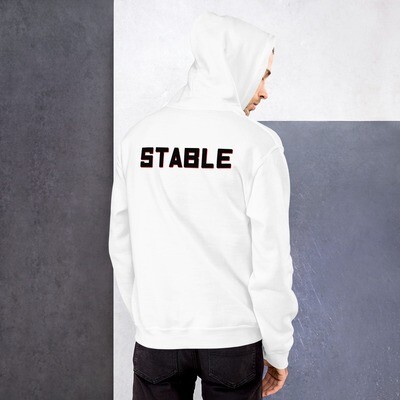 Unisex Hoodie with Classic logo
