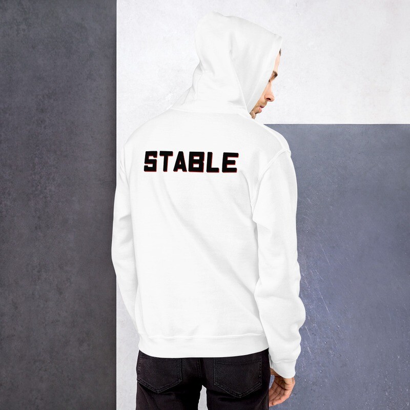 Unisex Hoodie with Classic logo