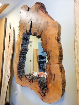 #FP1 Native Pecan Tree Mirror