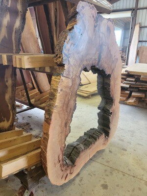 #FP2 Native Pecan Tree Mirror