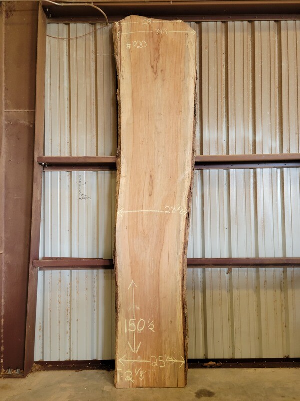 Slab #P20