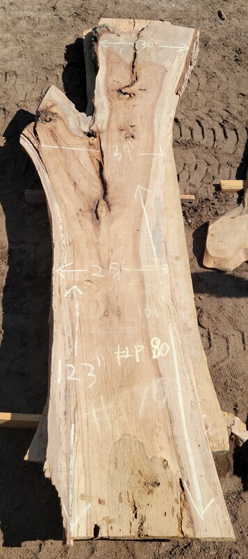 Slab #P80