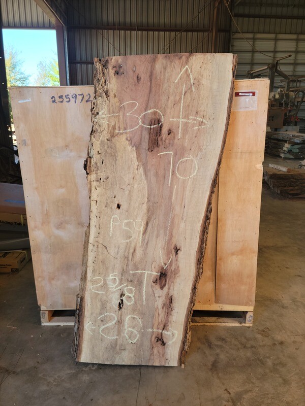 Slab #P59