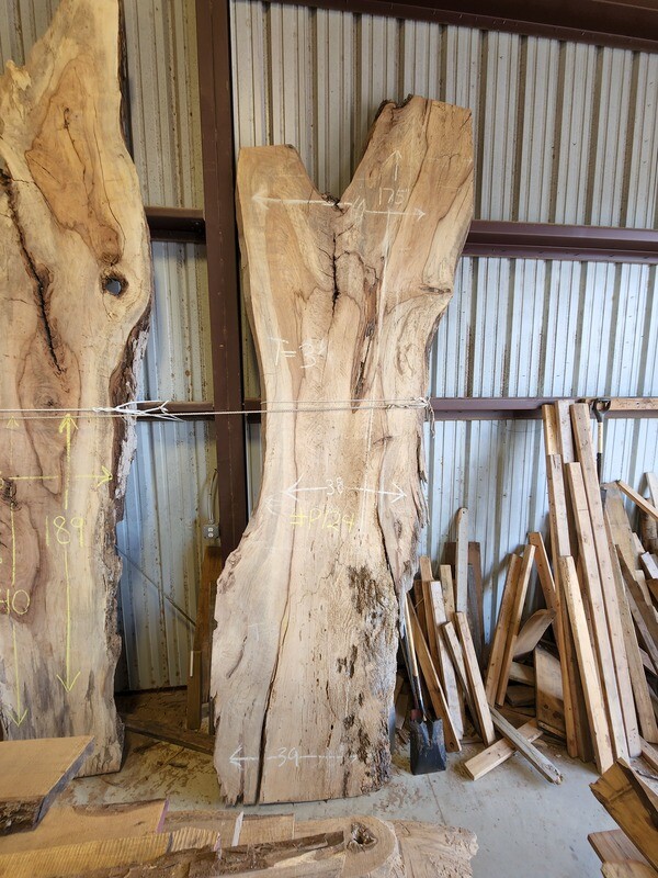 Slab #P124