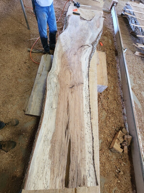 Slab #P149