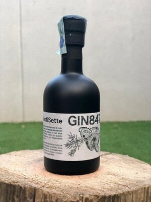 Gin847 VentiSette 10cl