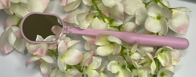 Lash Mirror
