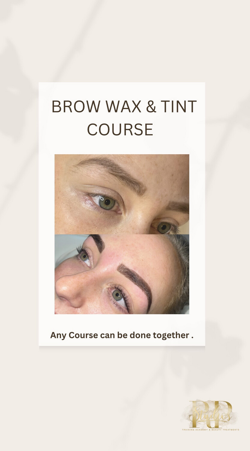 Brow Wax & Tint Course