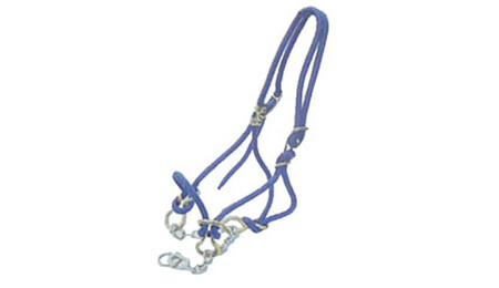 Halter Hackamore