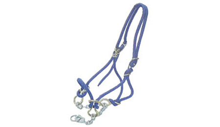 Halter Hackemore Bull