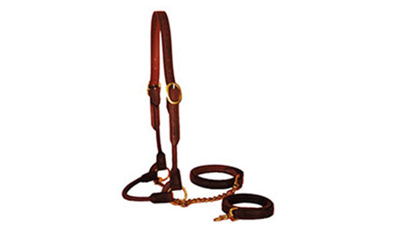 Rolled Leather Show Halter