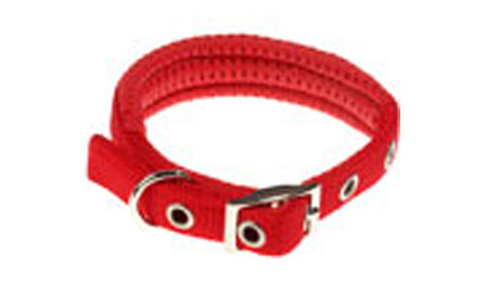 Dog Collars