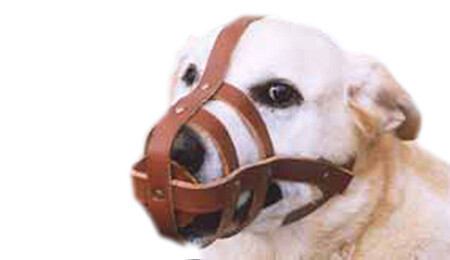 Leather dog cheap muzzle australia