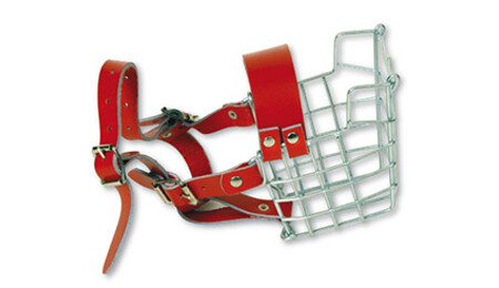Newmarket Dog Muzzle