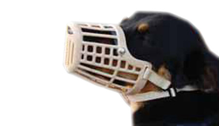 Comfort Muzzle