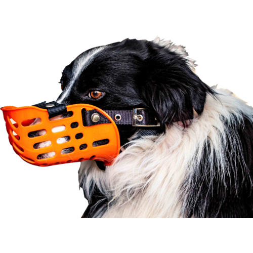 Dog Muzzle Working Dog Plastic AG Boss