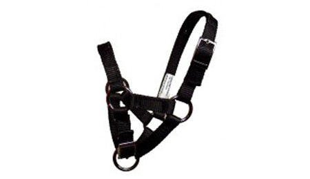 Adjustable Sheep/Goat Halter