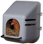 Poultry Nesting Box Wall Mount