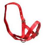 Webbed Goat Halter