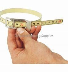 Scrotal Measuring Tape
