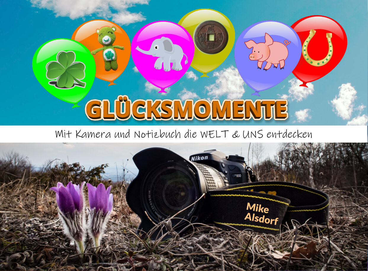 Buch Glücksmomente