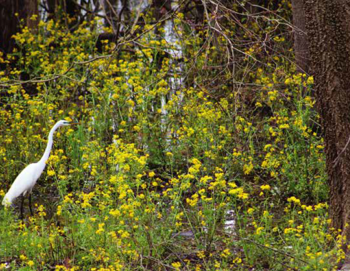 ​Precision Vision!