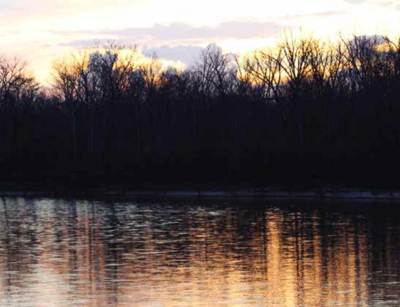 Bayou Sara Sunset