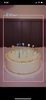 Custom Cakes